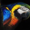 BLUE-YELLOW-MACAW-PARROT