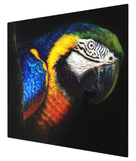 BLUE-YELLOW-MACAW-PARROT-CANVAS