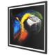 the-colorful-parrot-portrait-asp-arts-small