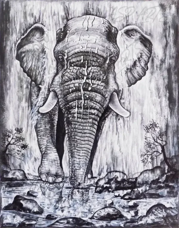 ELEPHANT-IN-THE-WATERFALL