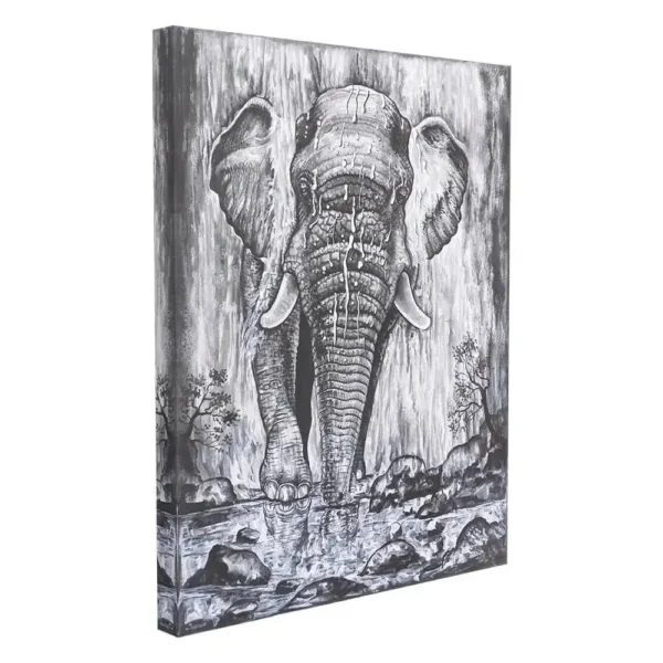 ELEPHANT-IN-THE-WATERFALL