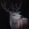 THE-SPIRITUAL-STAG