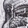 ELEPHANT-IN-THE-WATERFALL-02