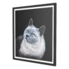 BLACK-AND-WHITE-CAT-PORTRAIT
