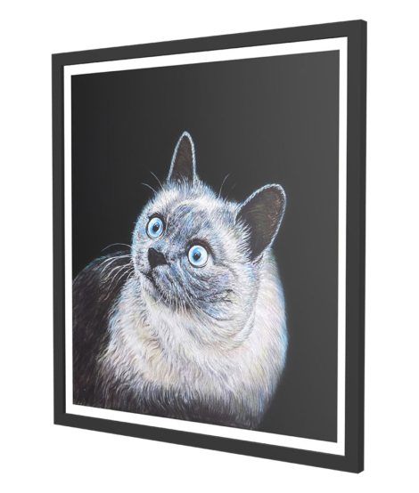 THE-BLACK-AND-WHITE-CAT-PORTRAIT-CANVAS
