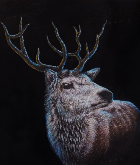 THE-SPIRITUAL-STAG