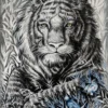 THE-TIGER-PORTRAIT