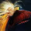 GREATER-BIRD-OF-PARADISE