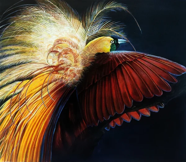 GREATER-BIRD-OF-PARADISE