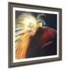GREATER-BIRD-OF-PARADISE