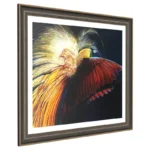 GREATER-BIRD-OF-PARADISE