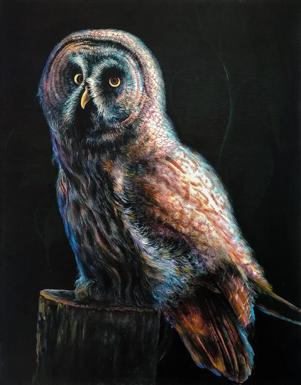 The Watchful Owl
