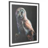 The Watchful Owl