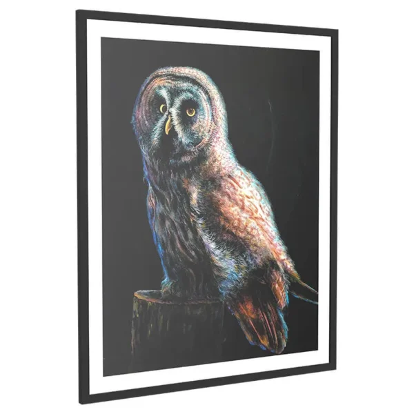The Watchful Owl