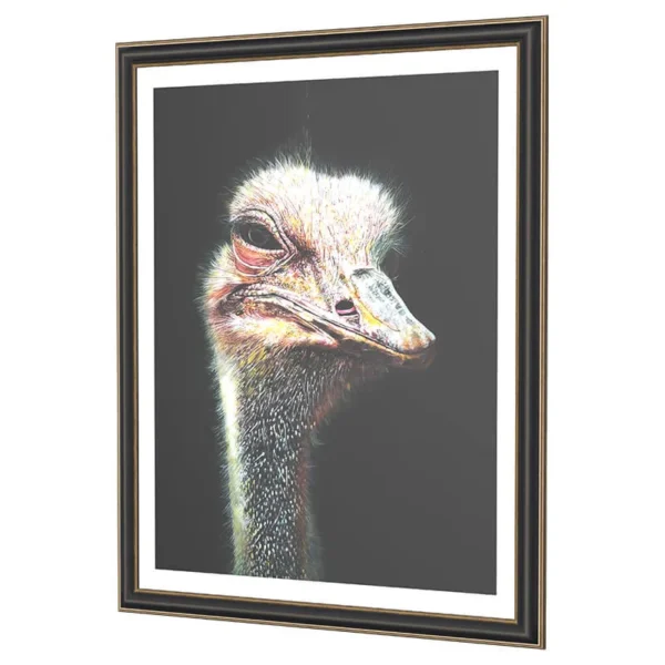 OSTRICH-PORTRAIT