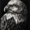 THE-EAGLE-PORTRAIT
