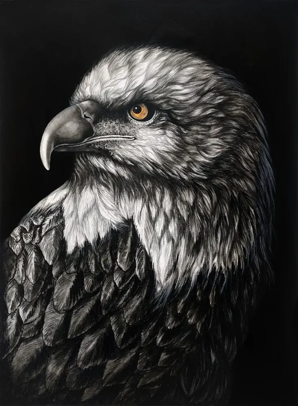 THE-EAGLE-PORTRAIT
