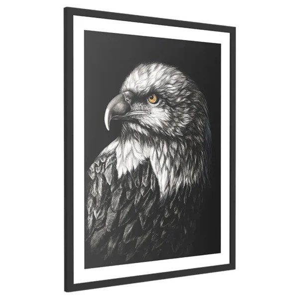 THE-EAGLE-PORTRAIT