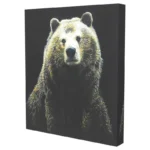 BEAR-PORTRAIT