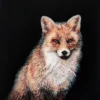 RED-FOX-PORTRAIT