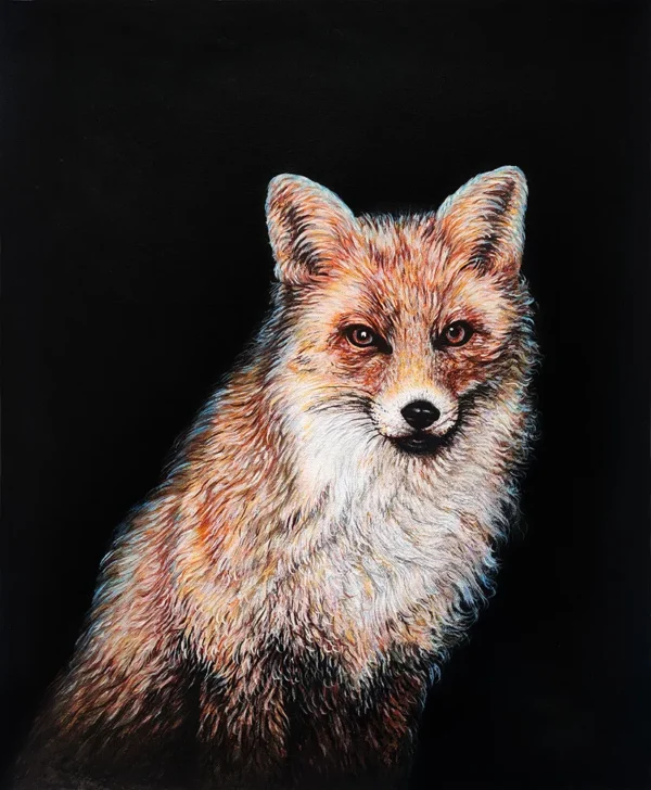 RED-FOX-PORTRAIT