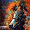 HORSE-PORTRAIT-STALLION
