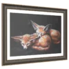 LITTLE-RED-FOXES