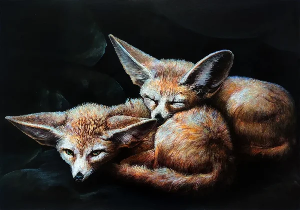 LITTLE-RED-FOXES