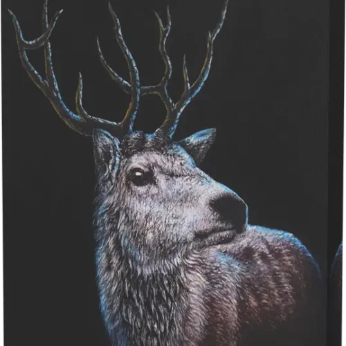 ANIMAL-PETS-ASP-ARTS